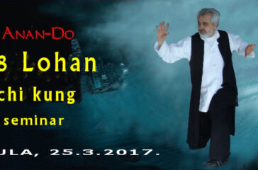 Lohan_chi_kung_seminar