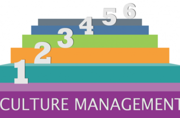 6_Step_Culture_Mgt