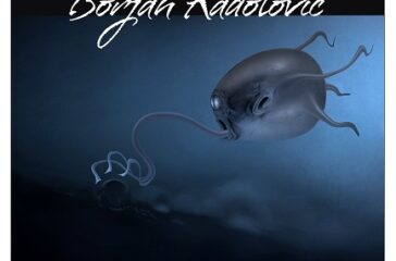 BORJAN-A3